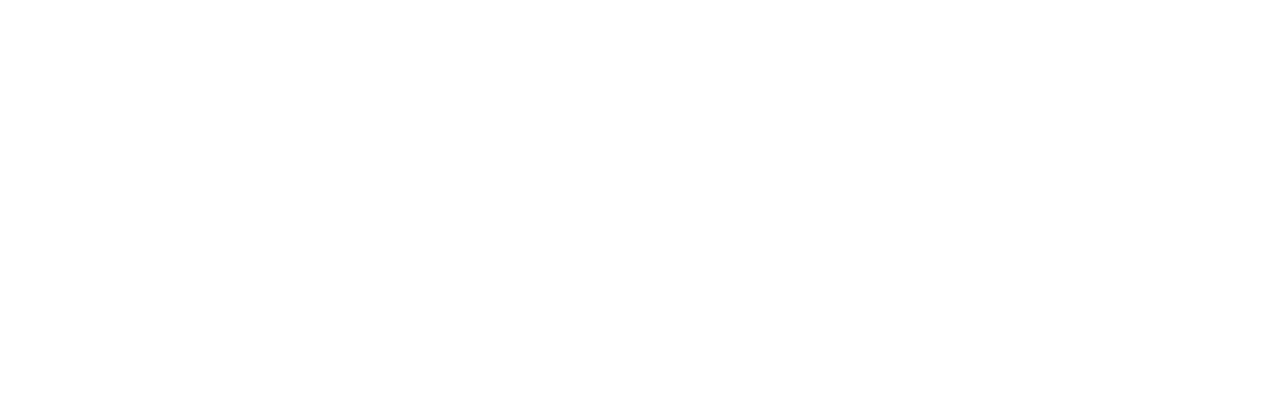 BurgDirect Logo